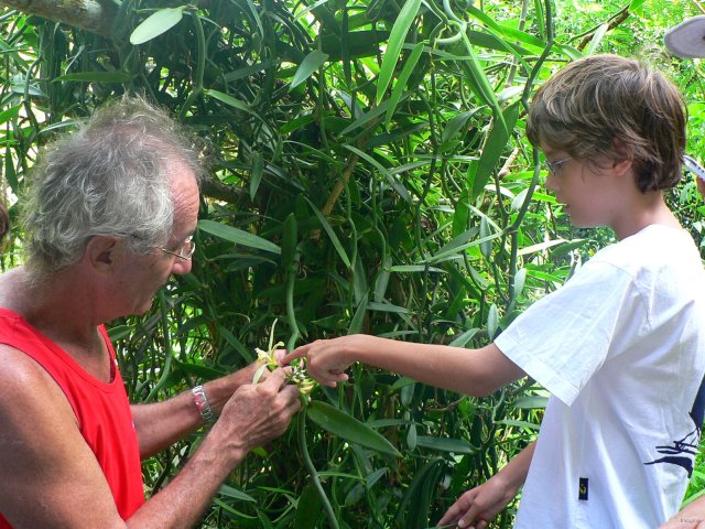 141- Alain explique a Bastien la methode de pollinisation 